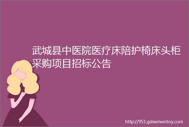 武城县中医院医疗床陪护椅床头柜采购项目招标公告